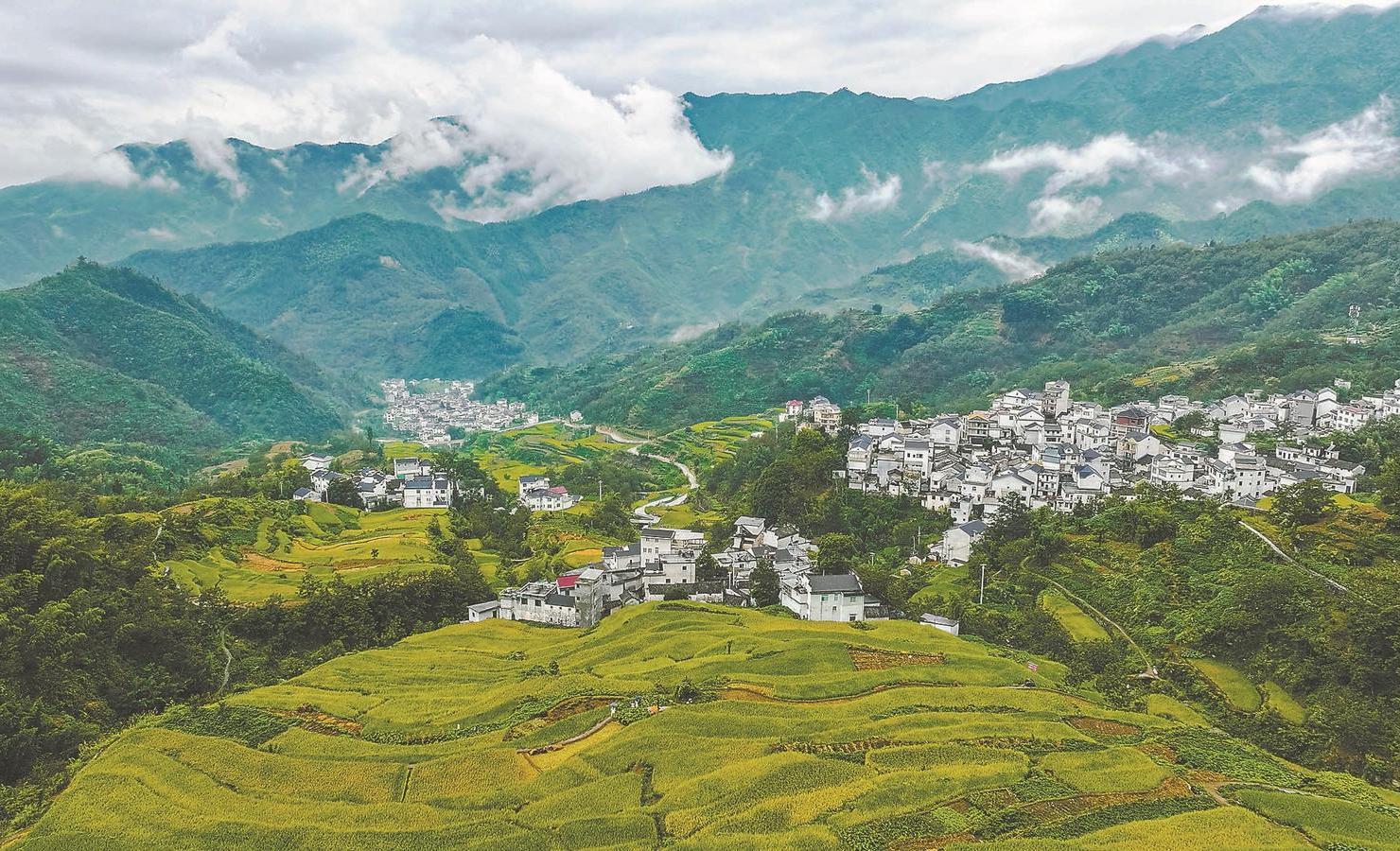 安徽之声，播音稿中的地域魅力展现