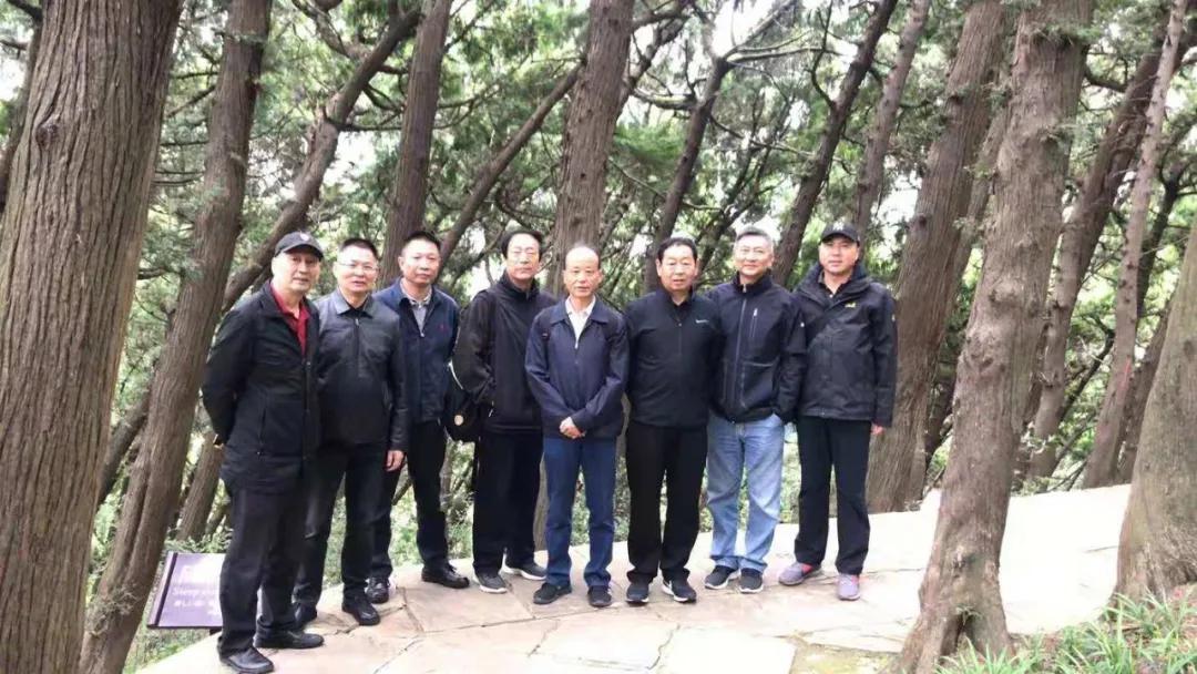 探寻宁夏西北之美的独特魅力