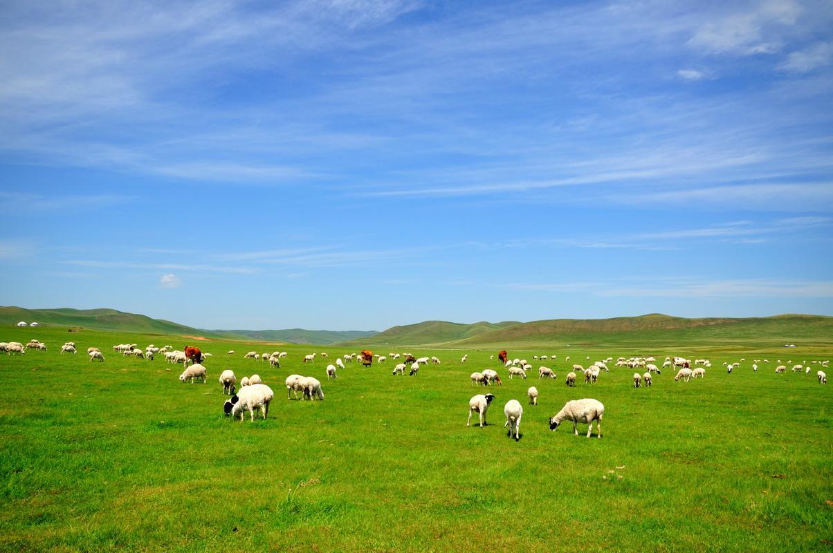 呼和浩特小巷独特风味探寻之旅