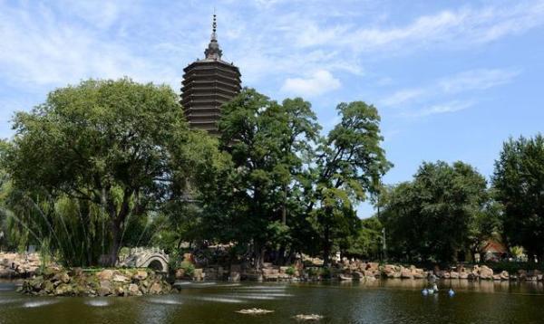 辽阳小巷风情与一家魅力小店探索