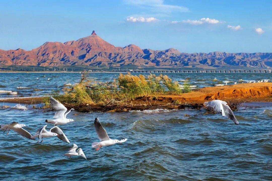 乌海，绿色崛起的现代化都市新篇章